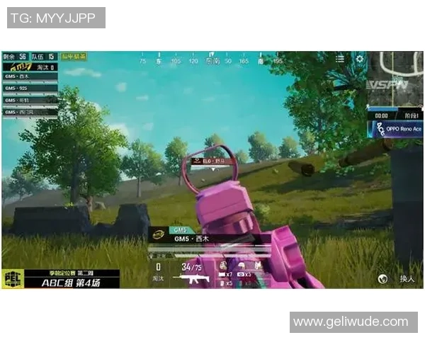 和平精英战队TES的战术速度分析与未来发展展望 和平精英战队TES的战术速度分析与未来发展展望