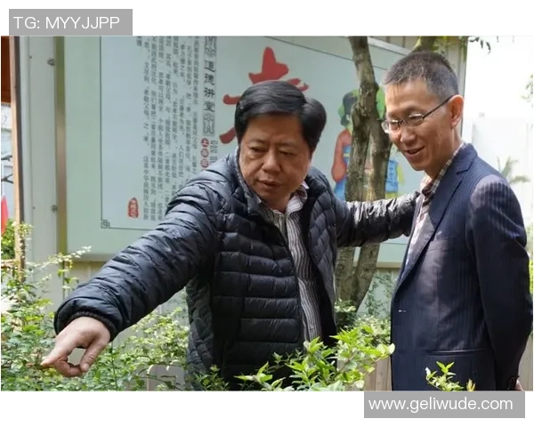 广州攀岩队的个人能力提升与团队协作的深度探讨与实践分析