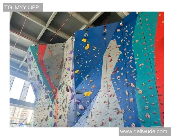 攀岩精神传承：上海攀岩队成长历程的真实记录与感悟