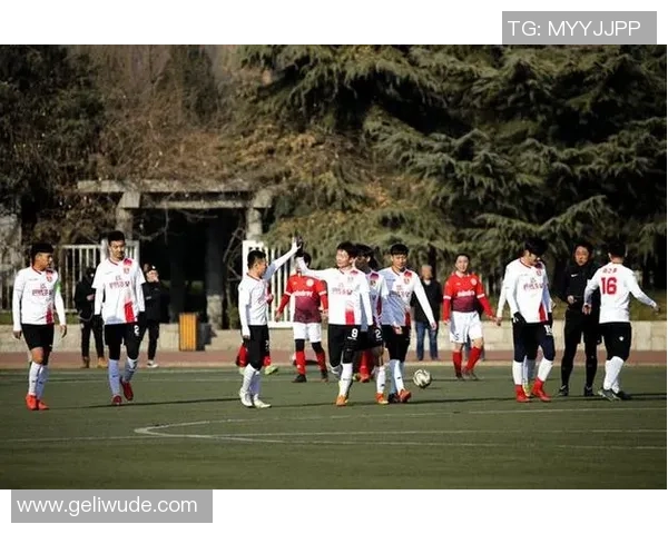 汉中足球耐的崛起与发展探索及其对地方文化的影响分析