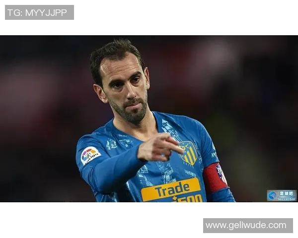 足球专业马的成长之路与未来发展展望分析 足球专业马的成长之路与未来发展展望分析